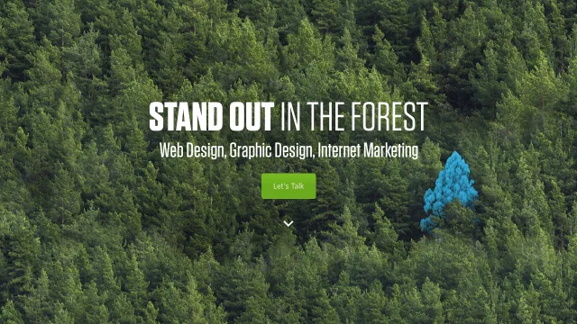 Black Bear Design website screenshot