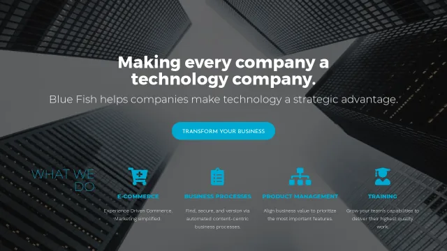 Blue Fish Group website screenshot
