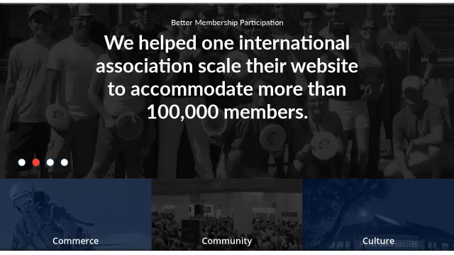 Bluespark website screenshot