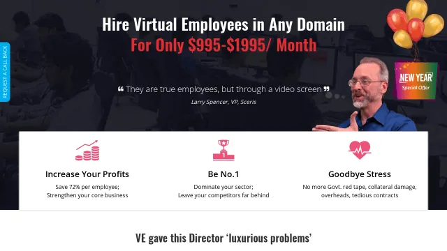 Virtual Employee website screenshot
