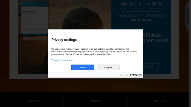 MultiView website screenshot