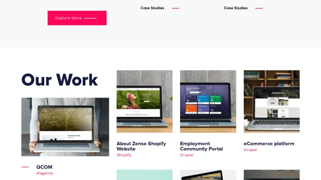 Elsner Technologies Pvt Ltd website screenshot