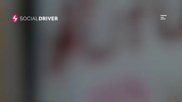 Social Driver website screenshot