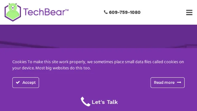 TechBear website screenshot