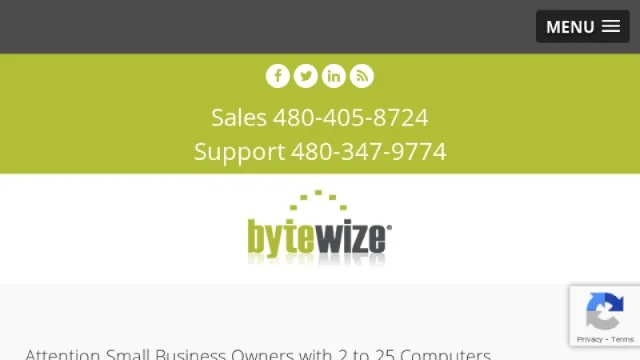 ByteWize, Inc. website screenshot