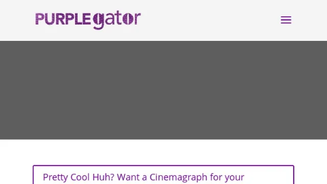 Purplegator website screenshot