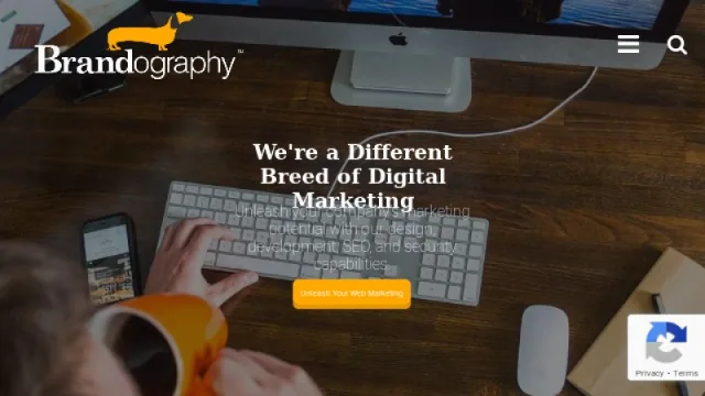 Brandography website screenshot