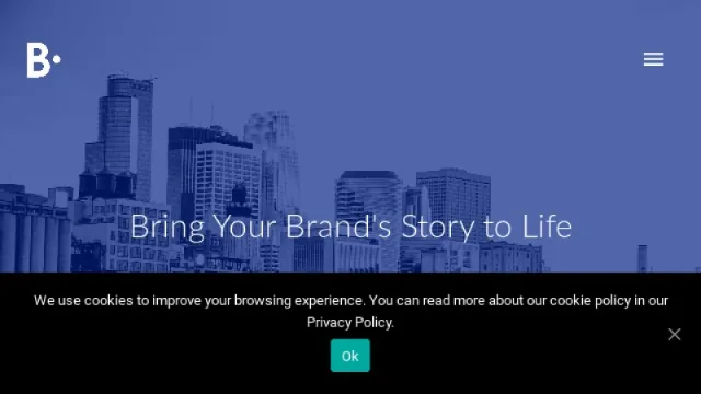Brandpoint website screenshot