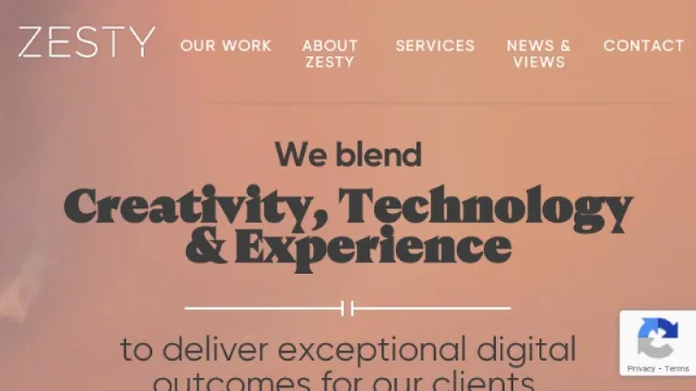Zesty website screenshot