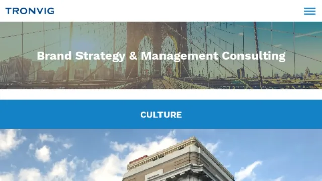 Tronvig Group website screenshot