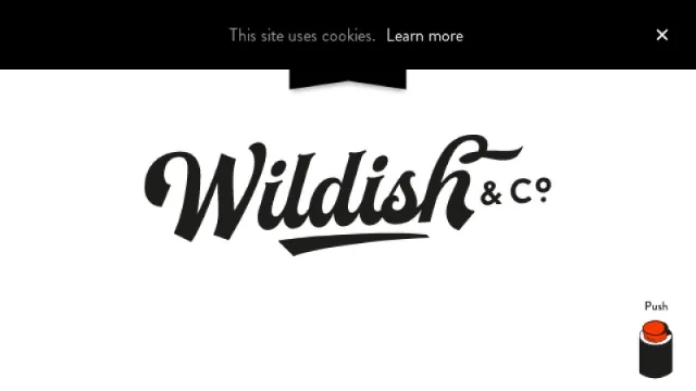 Wildish & Co. website screenshot