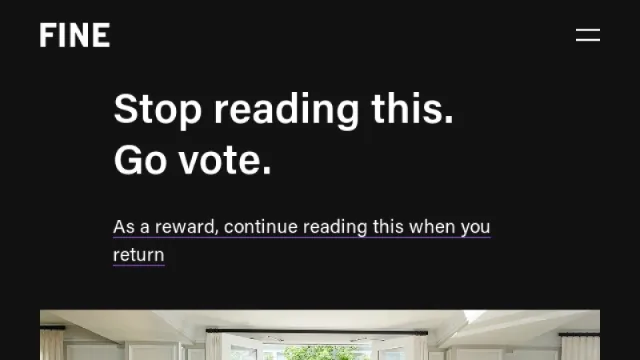 FINE website screenshot