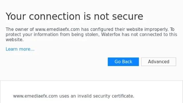 eMedia EFX website screenshot