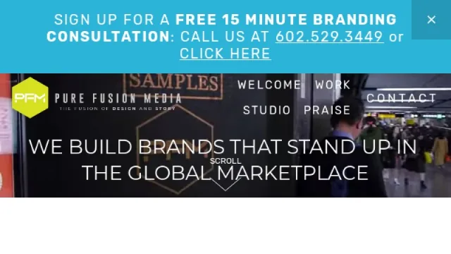 Pure Fusion Media website screenshot