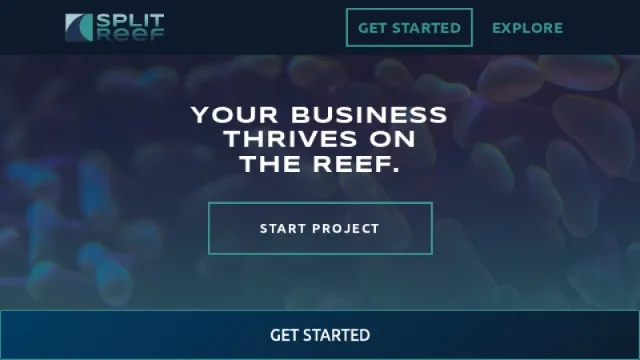 Split Reef website screenshot