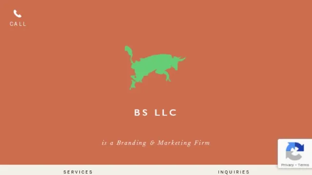 BS LLC website screenshot