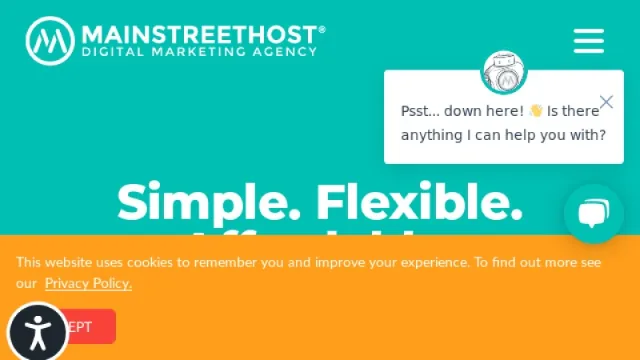Mainstreethost website screenshot