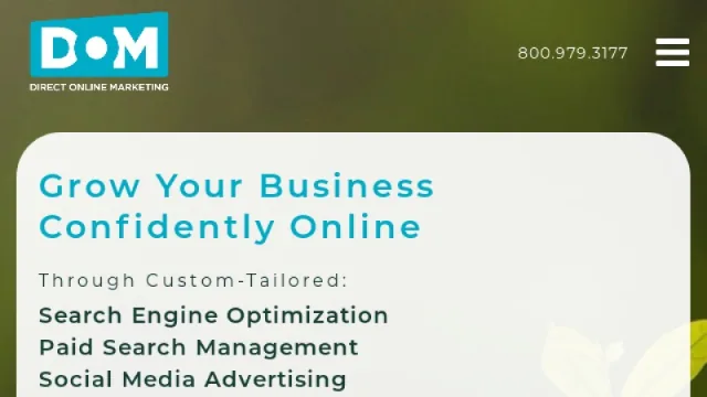 Direct Online Marketing website screenshot