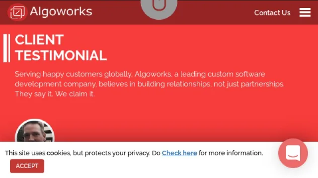 Algoworks website screenshot