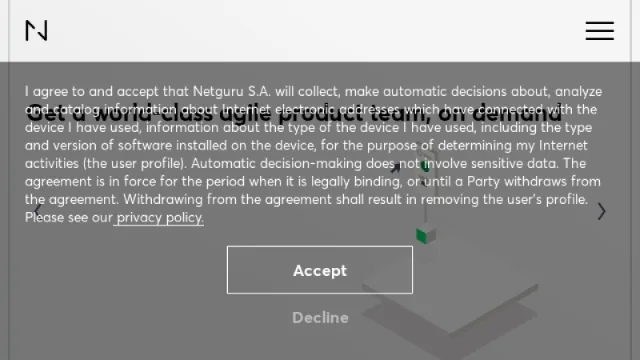 Netguru website screenshot