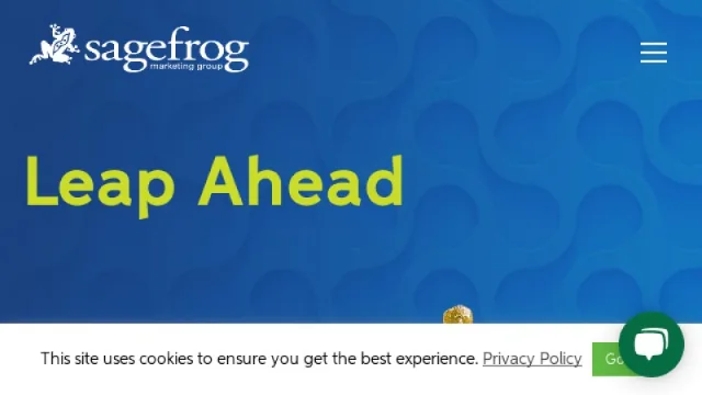Sagefrog Marketing Group website screenshot