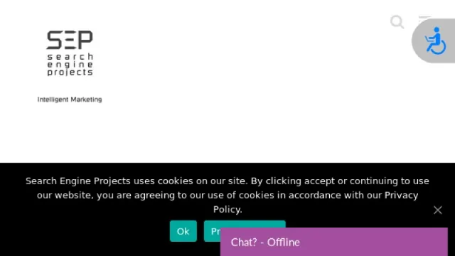 Search Engine Projects website screenshot