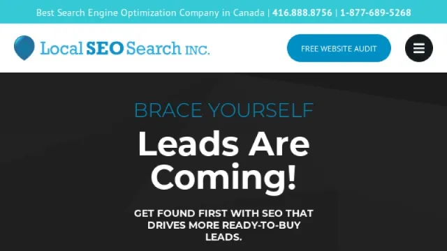 Local SEO Search website screenshot