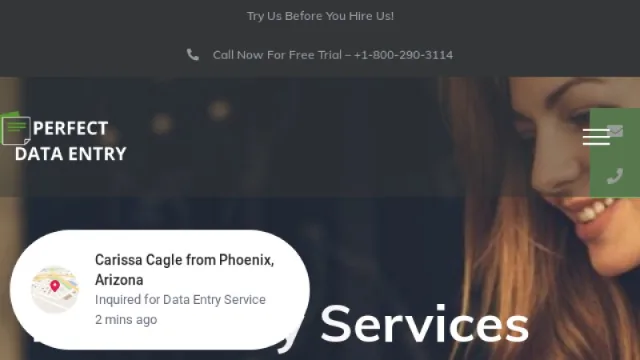 Perfect Data Entry website screenshot